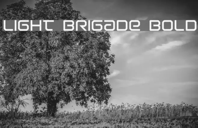 Light Brigade Bold Example 3