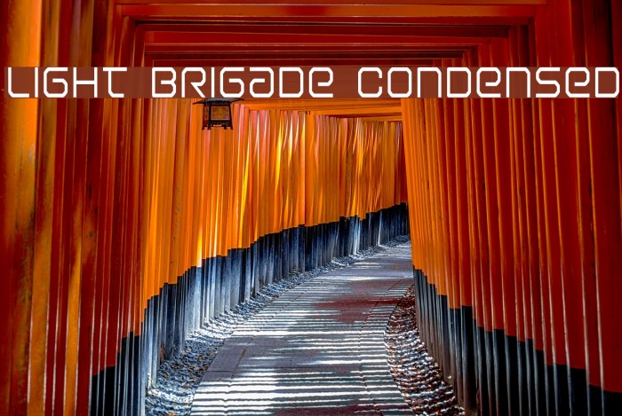 Light Brigade Condensed Example 1