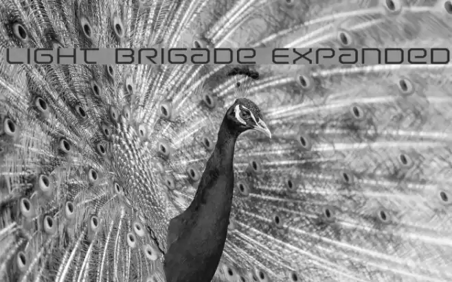 Light Brigade Expanded Font examples