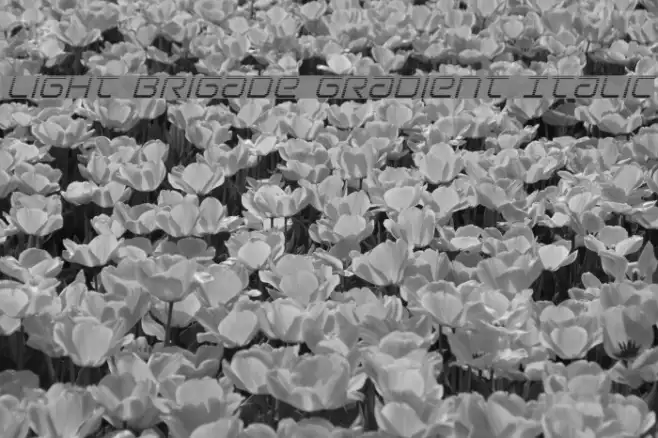 Light Brigade Gradient Italic Example 1