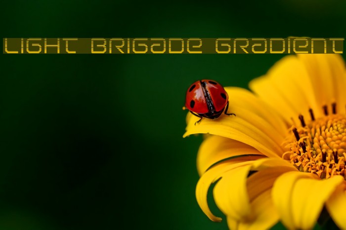 Light Brigade Gradient Example 2