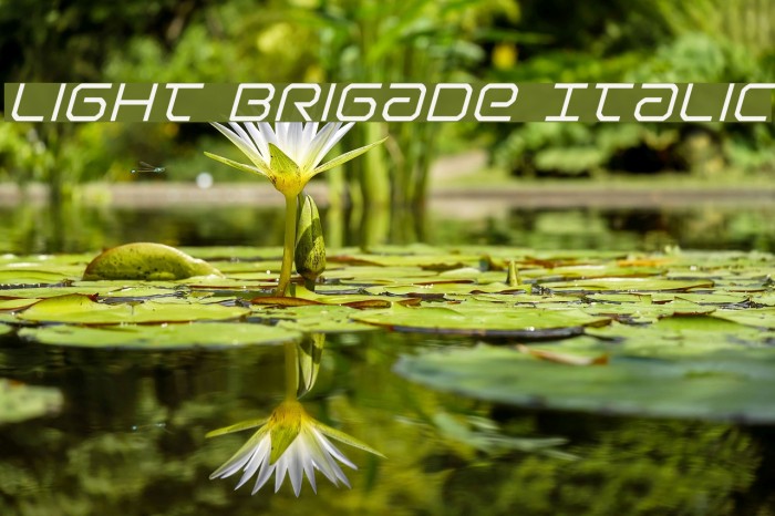 Light Brigade Italic Font examples