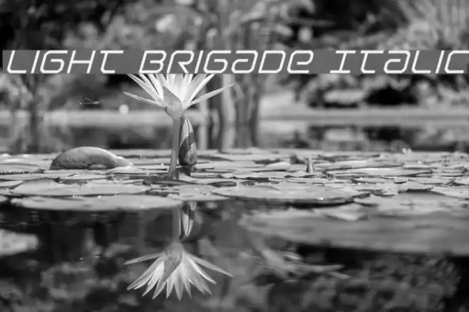 Light Brigade Italic Font examples