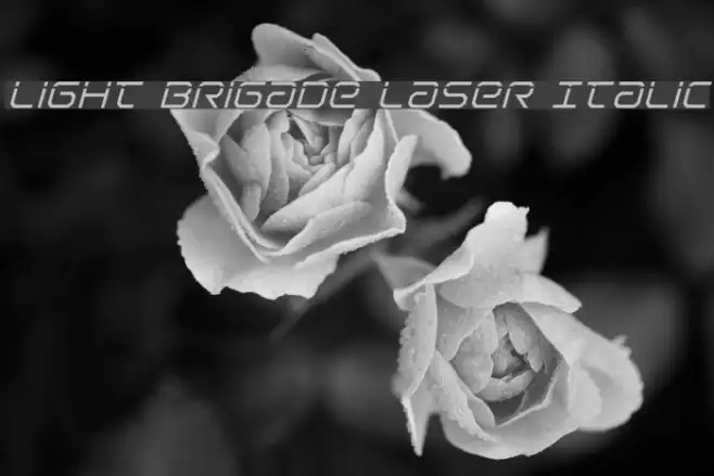 Light Brigade Laser Italic Example 2