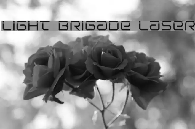 Light Brigade Laser Example 3