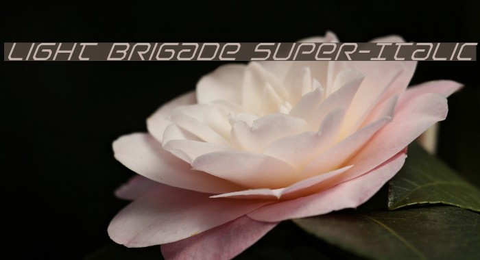Light Brigade Super-Italic Font examples