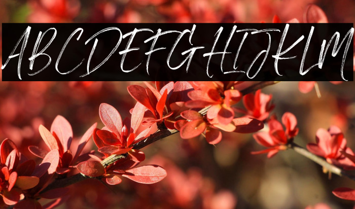 Light Brighter Example 1