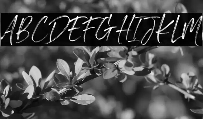 Light Brighter Font examples