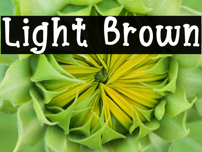 Light Brown Example 2