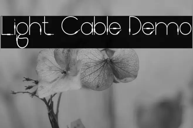 Light Cable Demo Шрифта examples