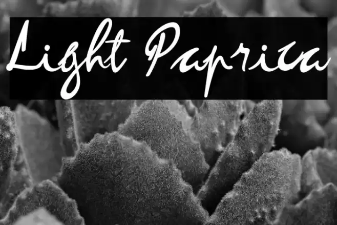 Light Paprica Font examples