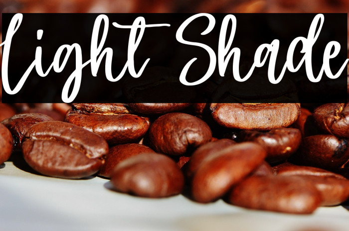 Light Shade Example 1