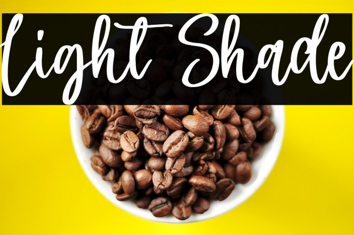 Light Shade Example 2