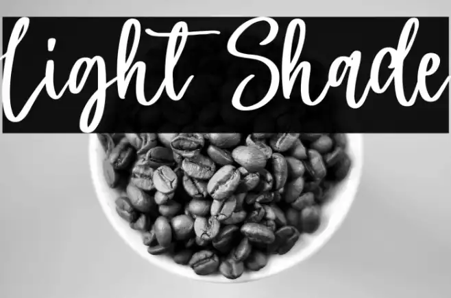 Light Shade Example 2