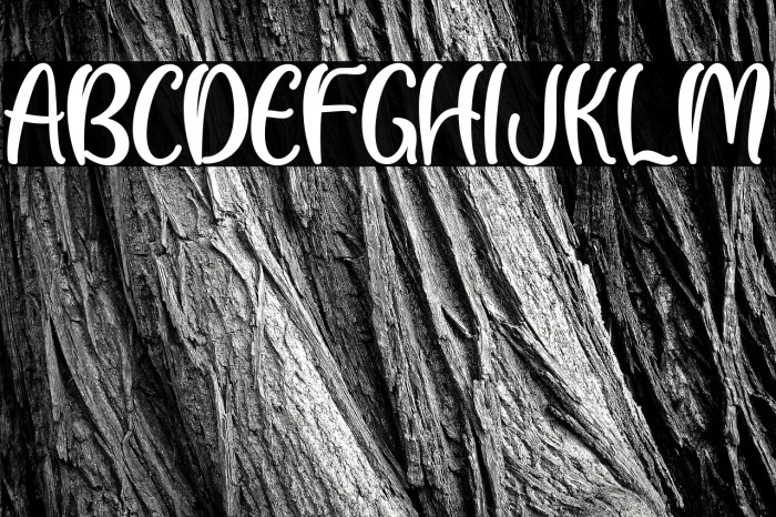 Light Sunday Example 1