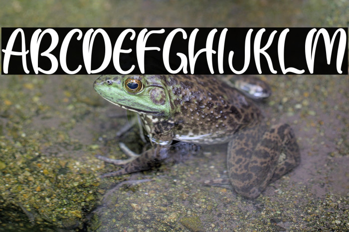 Light Sunday Example 3