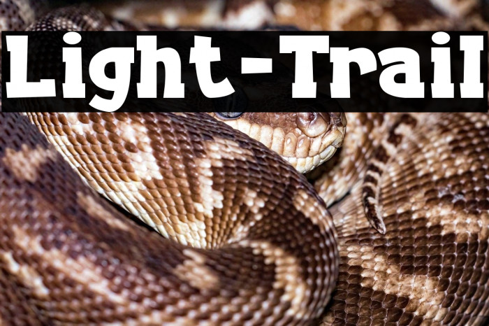 Light-Trail Example 3