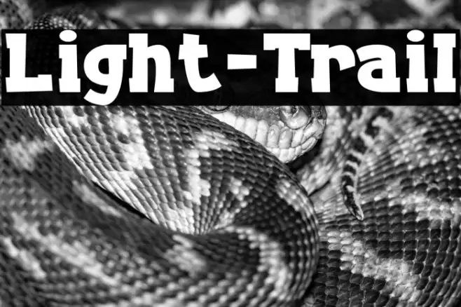 Light-Trail Example 3