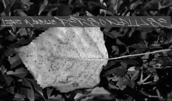 Light Wandals PERSONAL USE Font examples