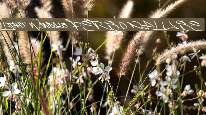 Light Wandals PERSONAL USE Example 2