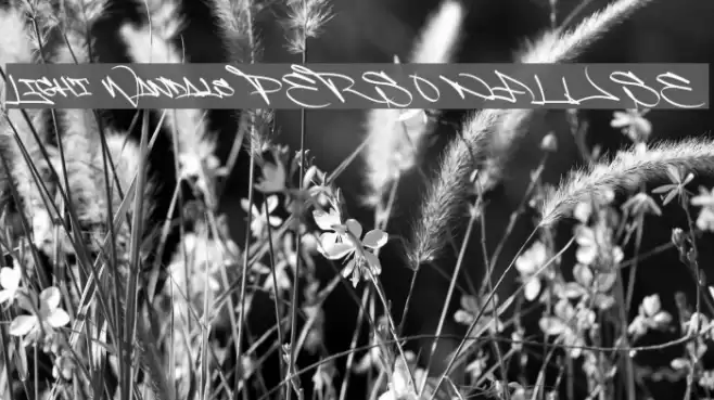 Light Wandals PERSONAL USE Font examples