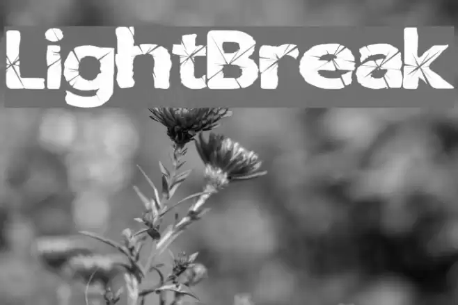LightBreak फ़ॉन्ट examples