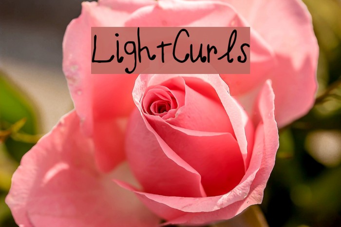 LightCurls फ़ॉन्ट examples