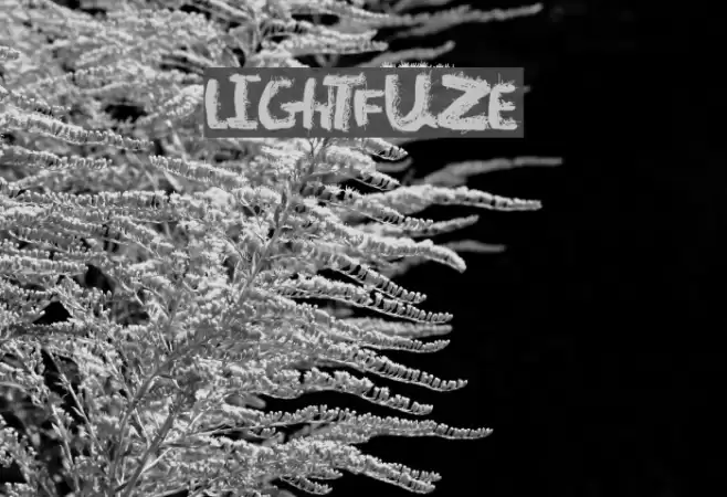 LightFuze Font examples