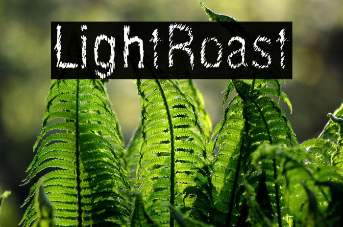 LightRoast Example 2