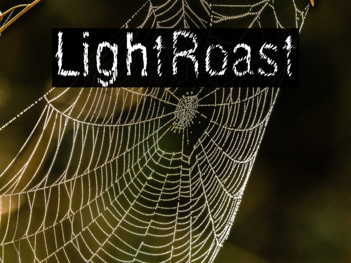 LightRoast Example 3