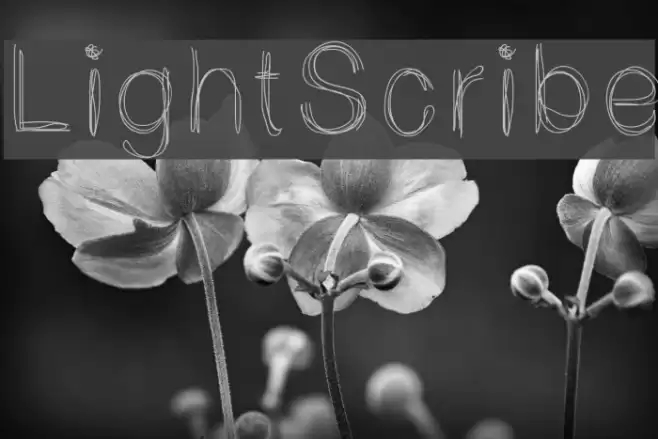 LightScribe Font examples