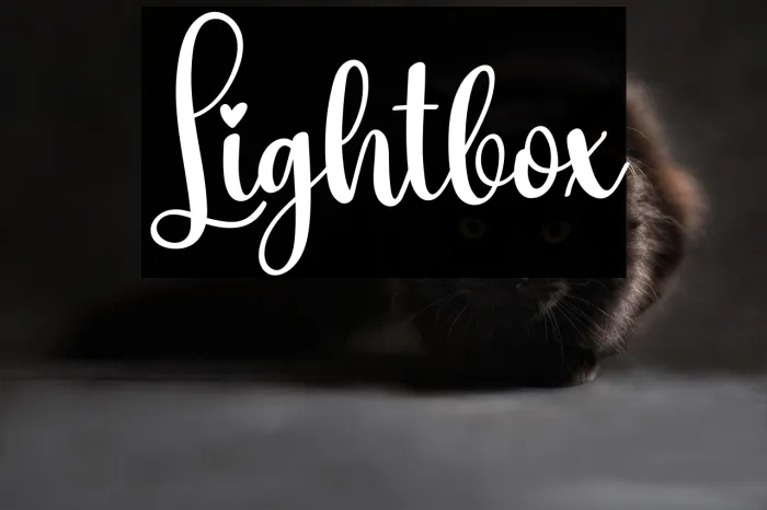 Lightbox Example 3