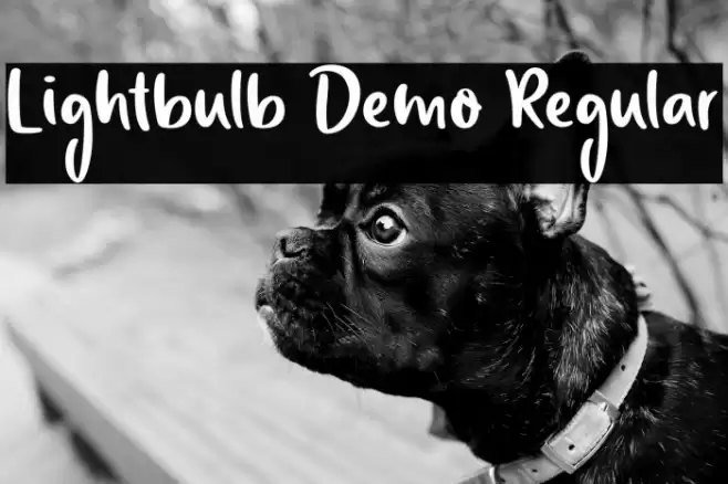 Lightbulb Demo Regular Font examples