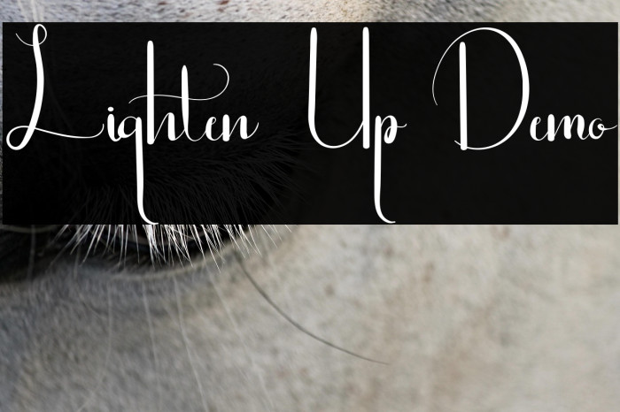 Lighten Up Demo Example 1