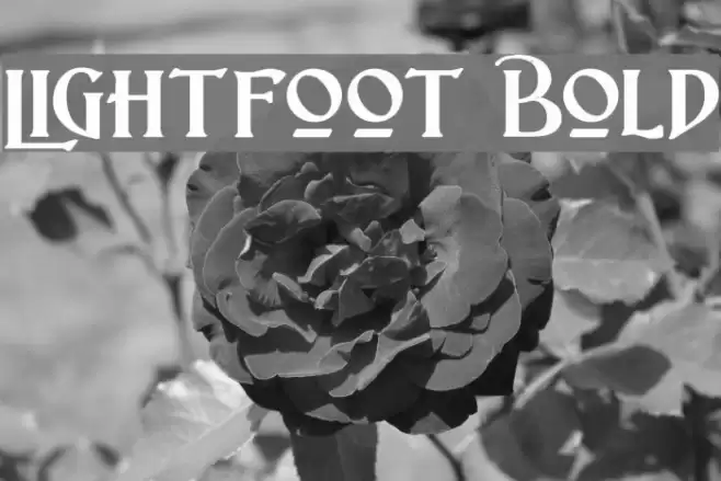 Lightfoot Bold Font examples