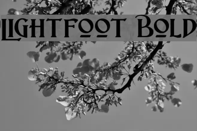 Lightfoot Bold Font examples