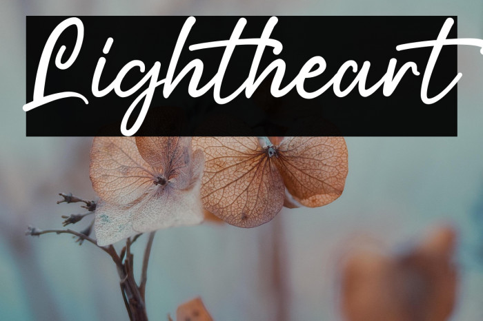 Lightheart Example 2