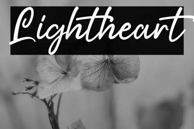 Lightheart Шрифта examples