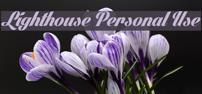 Lighthouse Personal Use फ़ॉन्ट examples