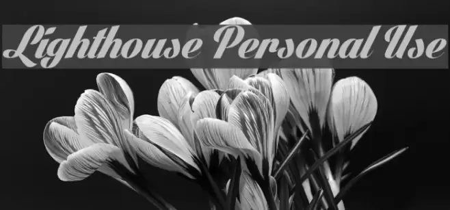 Lighthouse Personal Use Font examples