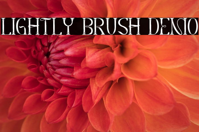 Lightly Brush Demo Example 1