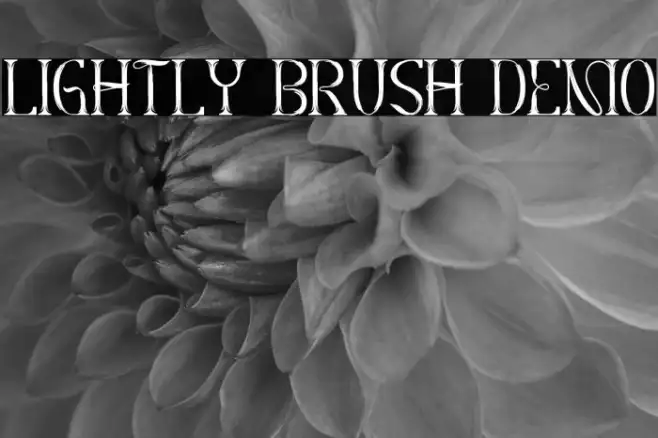 Lightly Brush Demo Example 1