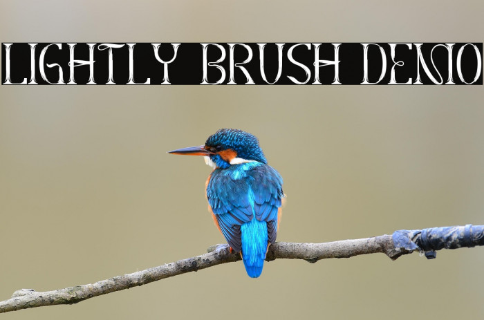 Lightly Brush Demo Example 2