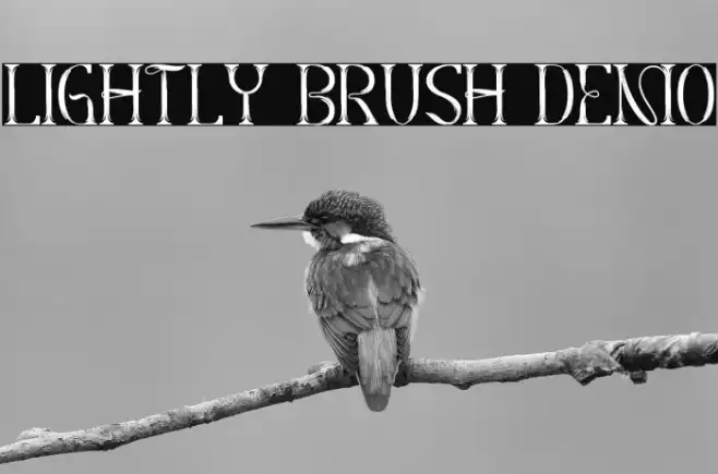 Lightly Brush Demo Example 2