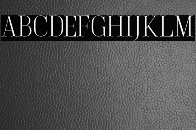 LightlySailler Font examples