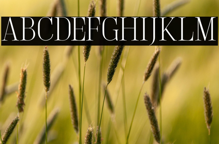 LightlySailler Example 2