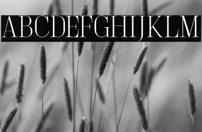 LightlySailler Font examples