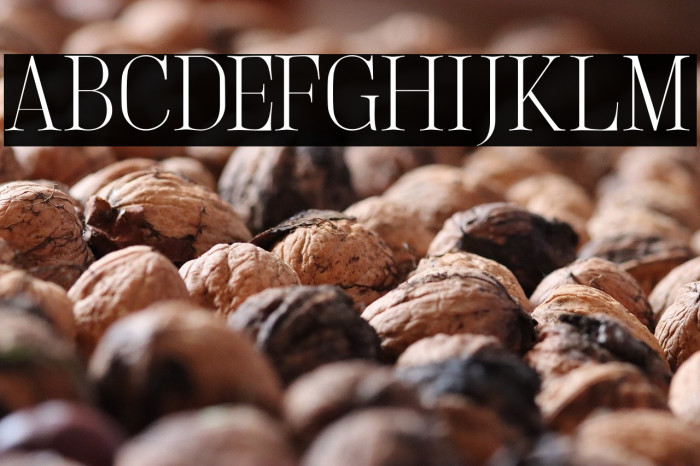 LightlySailler Example 3