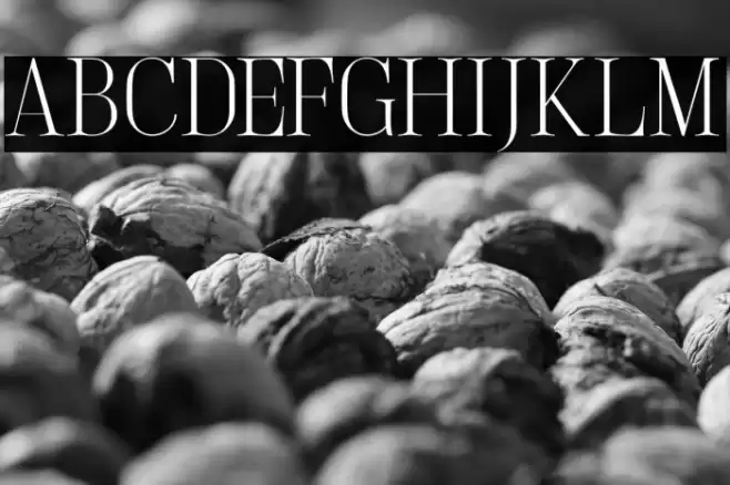 LightlySailler Font examples