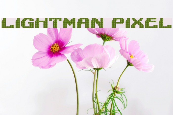 Lightman Pixel फ़ॉन्ट examples